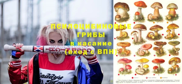 spice Мегион