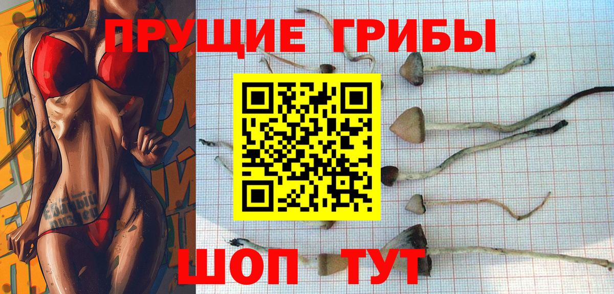 Галлюциногенные грибы мицелий  Псилоцибиновые грибы Psilocybine cubensis  Бирск  Вход с VPN 